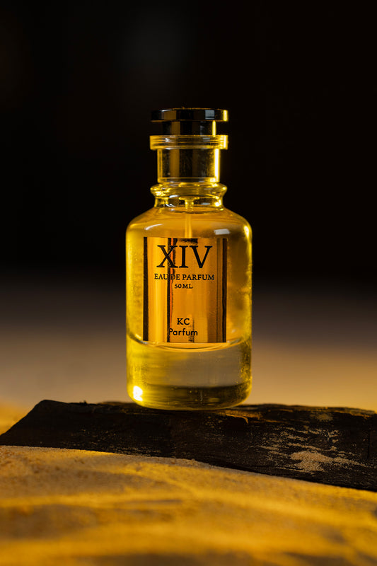 XIV The Shadowed Sun