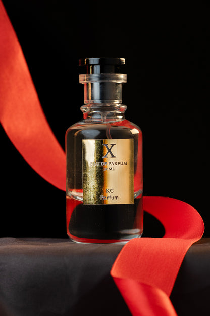 X The Essence of Modernity