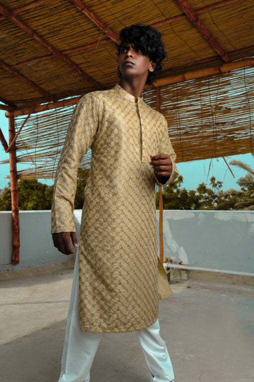 Designer Kurta 7270-8