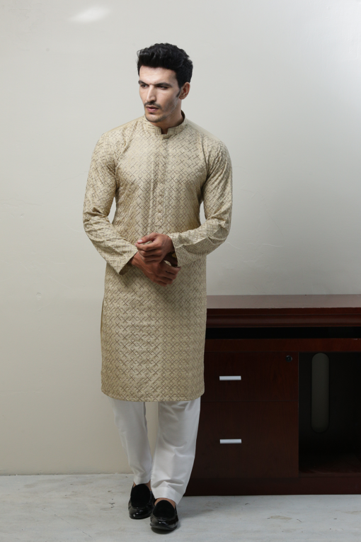 Designer Kurta 7270-12